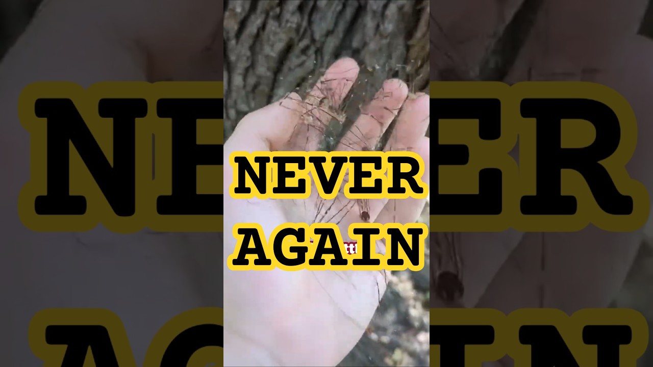 Меня окружает множество людей #eerieleerie #vtuber #storytime #spider #horror #vtuberclips #vtuberen