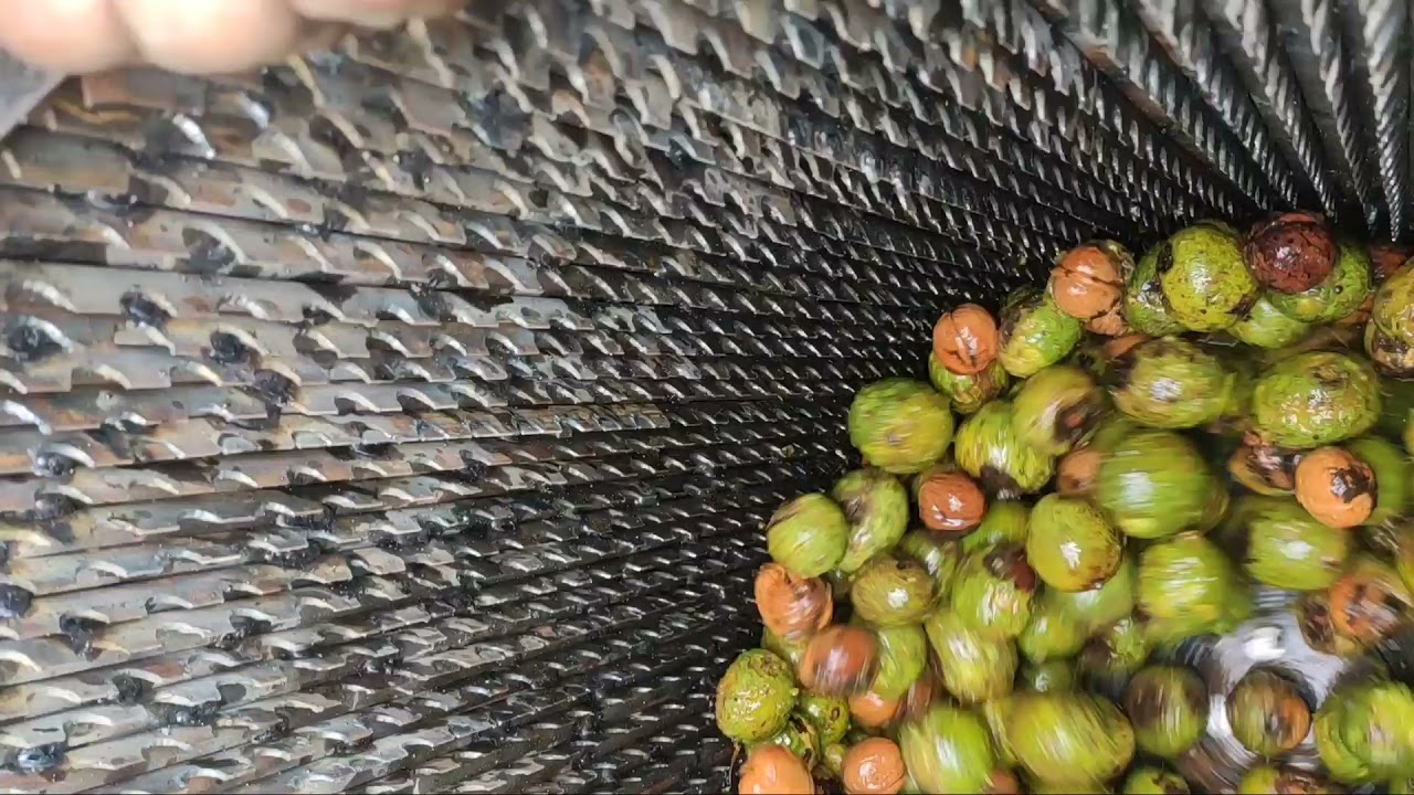 WALNUT PEELING, HULLER ND  CLEANING MACHINE IN 2021