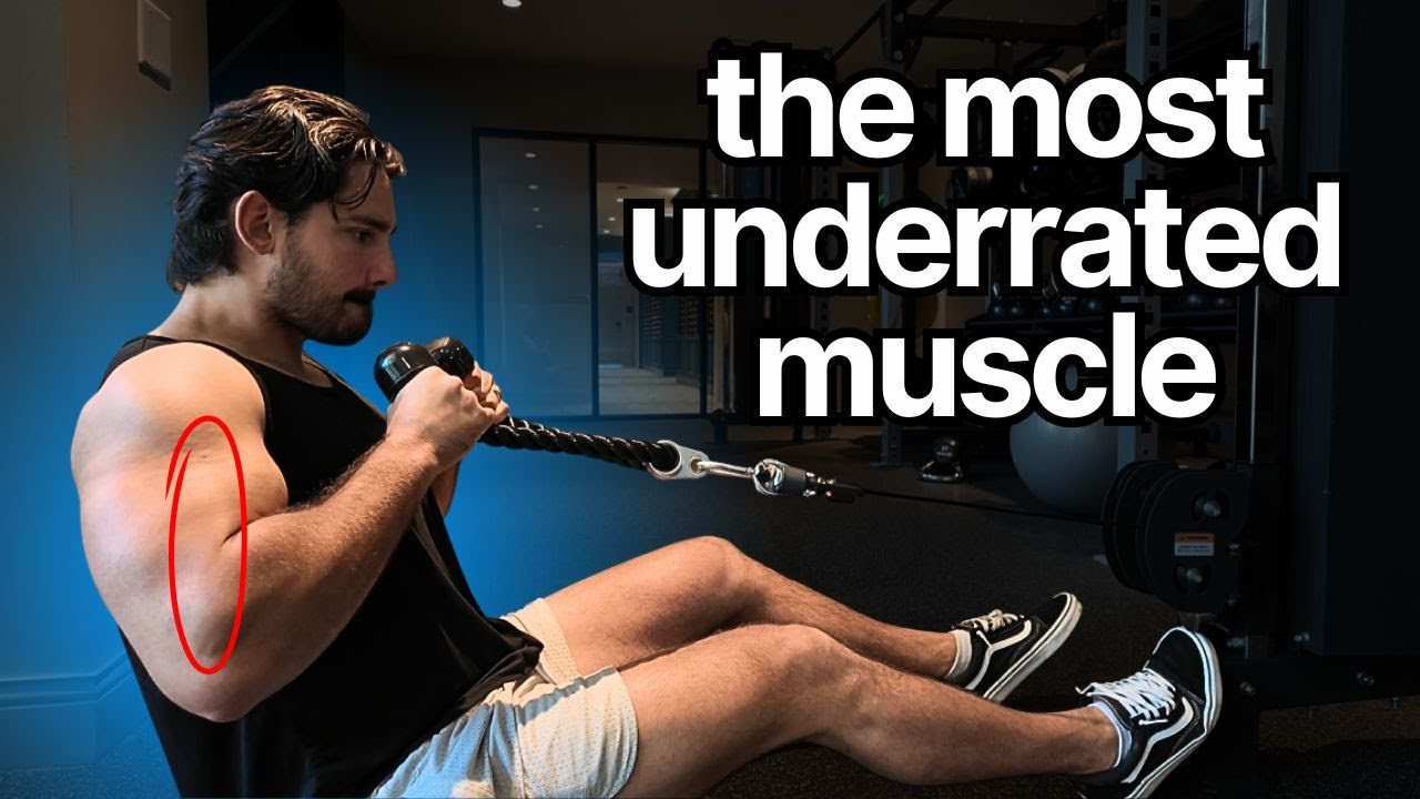 Grow Your Brachialis | Learn Biomechanics