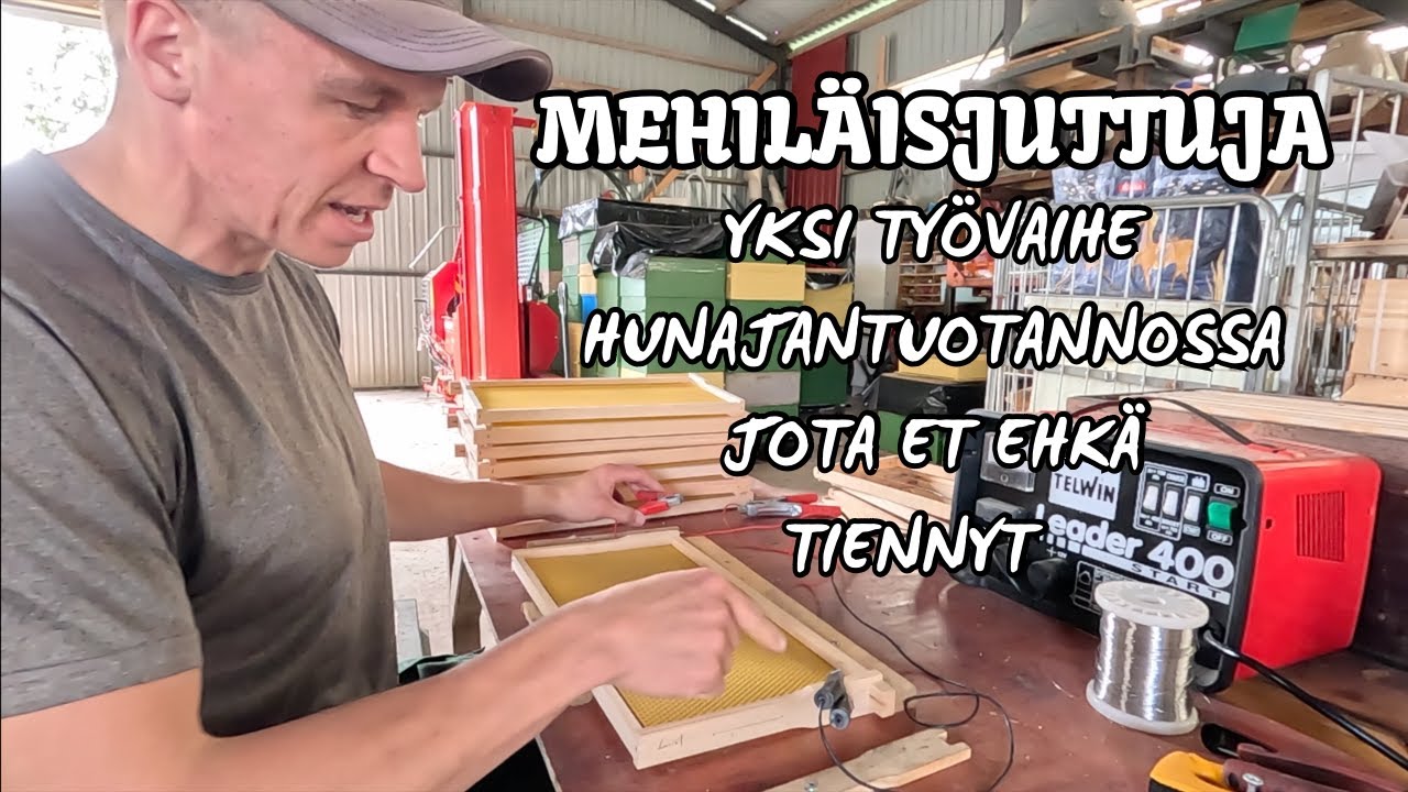 Tätäkin on tehtävä hunajan eteen - Sähköllä vahoja kiinni
