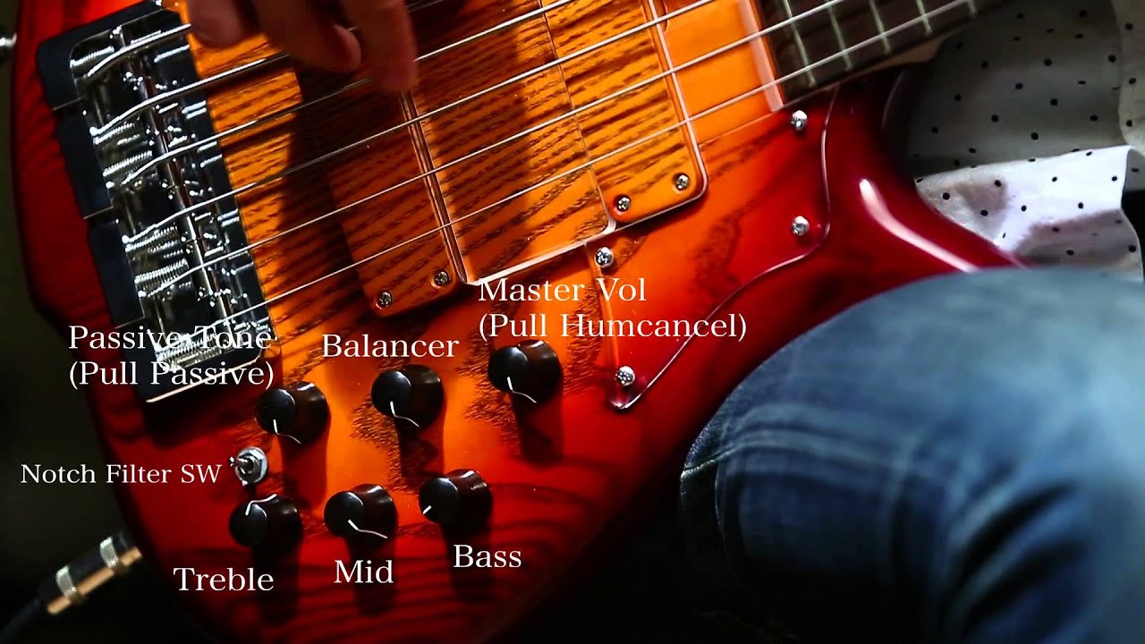 【Qsic】F-bass BN6-DU【売約済】