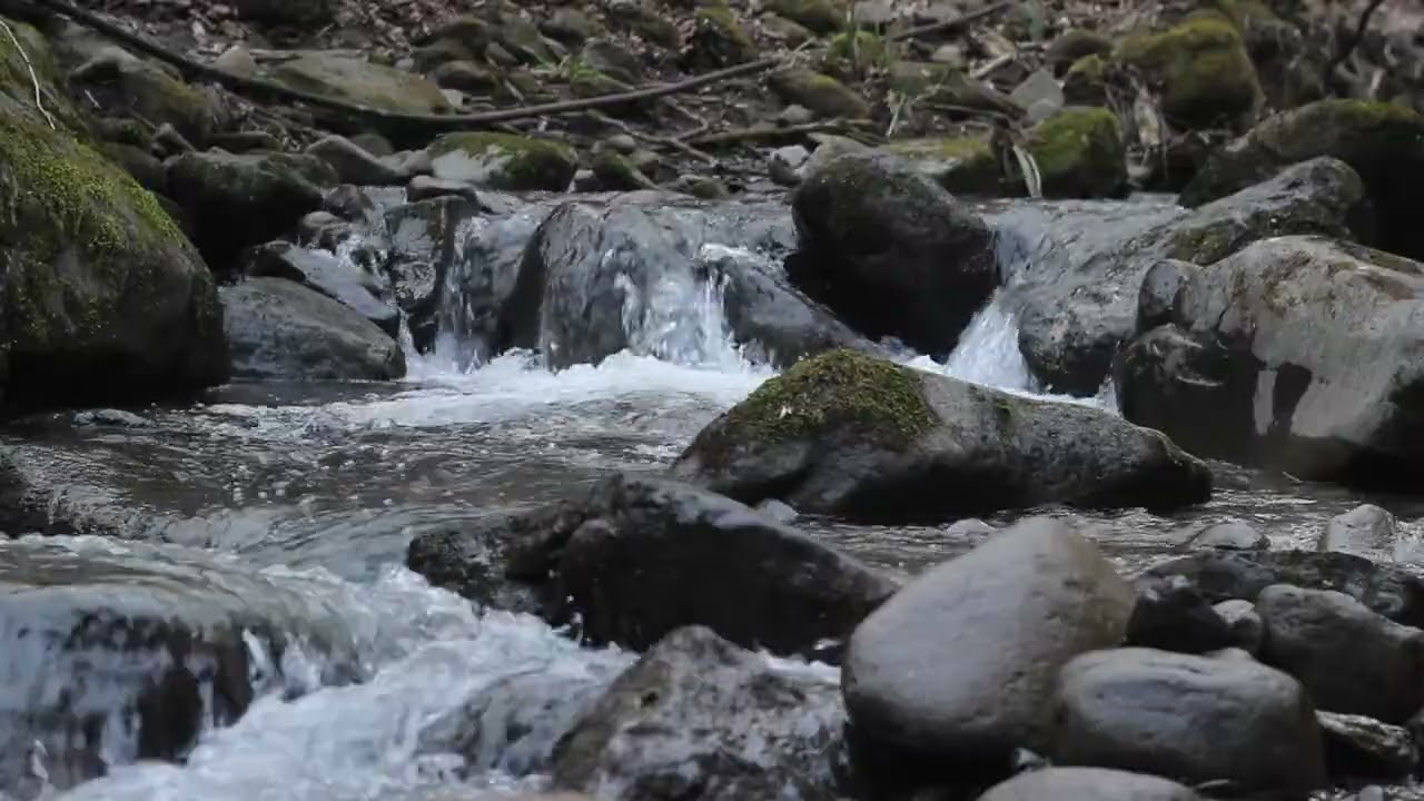Peaceful River Flow Over Rocks