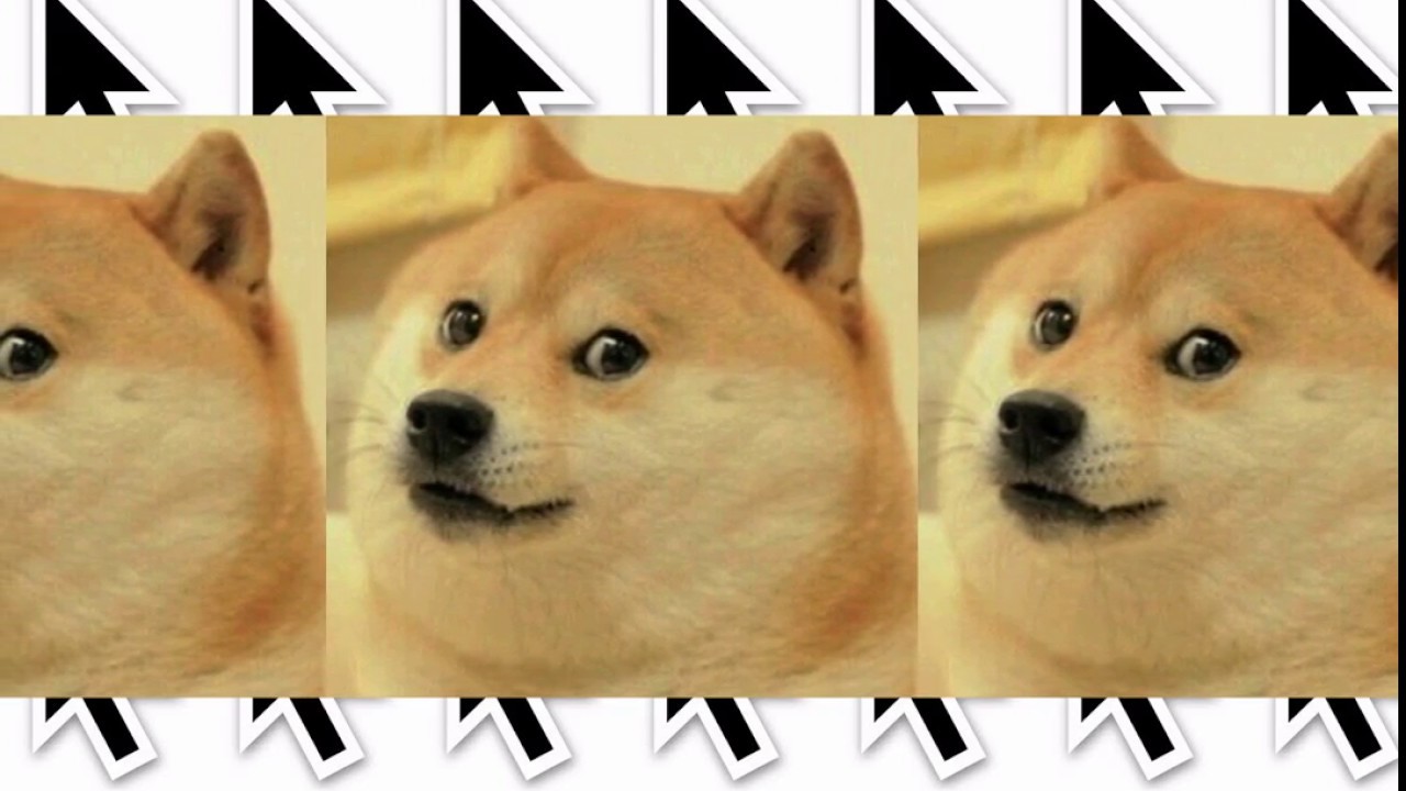 WTF flying doge!!