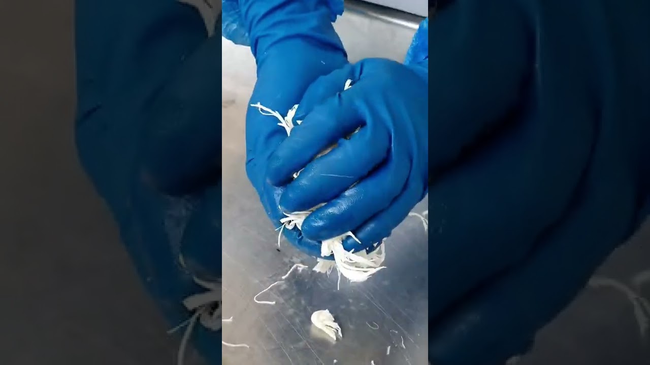 طريقة عمل جبنة الشلل اللي بيحب يتعلم يتواصل معي عبر الوتس اب0096176420263