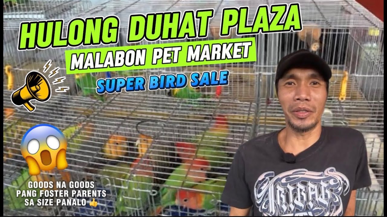 ALBS1 HIGANTE SA SIZE ! 😱 Pang FOSTER PARENTS ng Inakay | Hulong Duhat Plaza MARCH 2, 2026