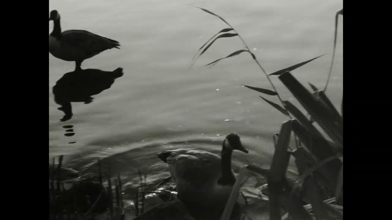 First 16mm roll