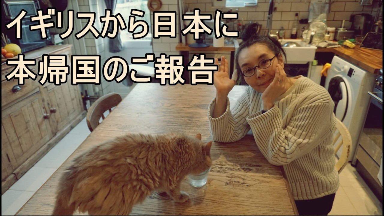 イギリスから日本移住の進捗：お知らせとご報告