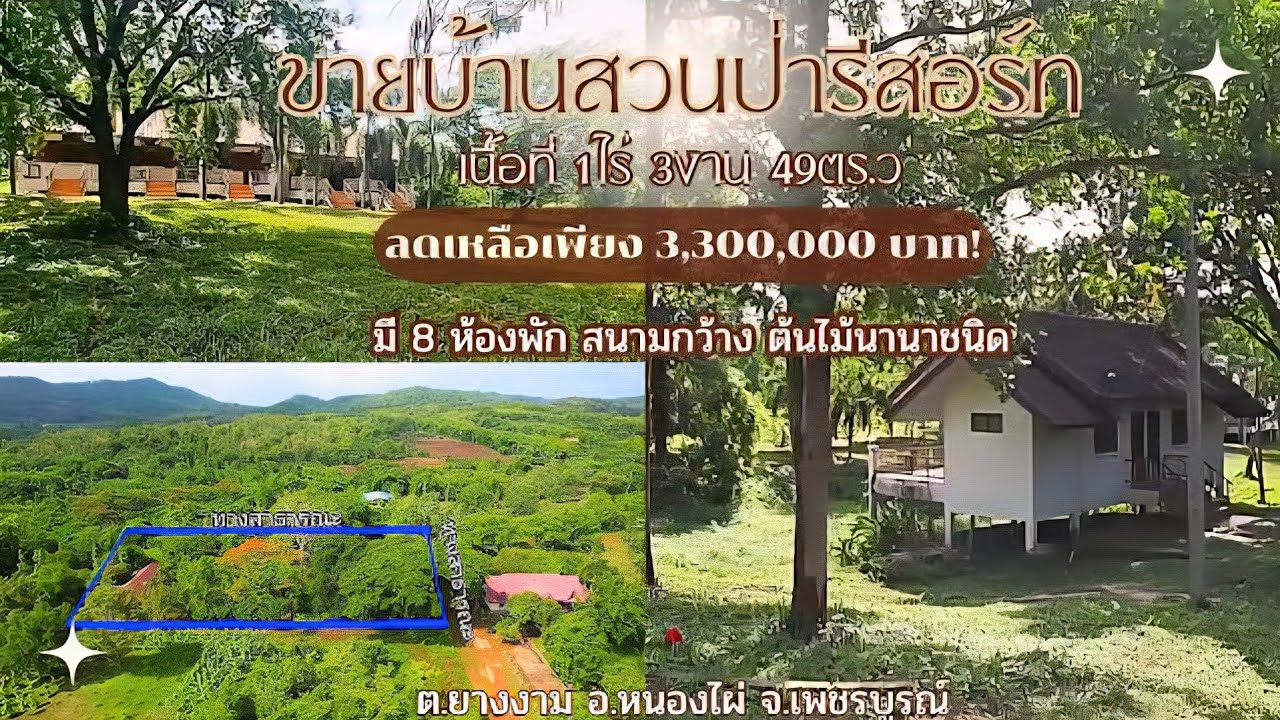 ขายบ้านสวนป่ารีสอร์ท7ห้องพัก | ลดเหลือ 3.3 ล้าน | วิวธรรมชาติ | 1-3-49 ไร่ #เพชรบูรณ์ #บ้านสวน 