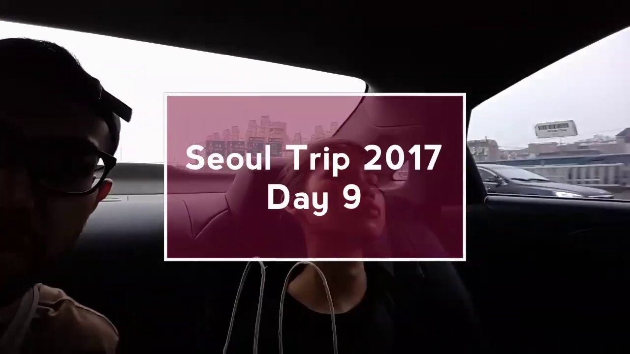 TRAVEL VLOG #9: The Sights and Sounds of Seoul, South Korea (Day 9: The Flight Home)