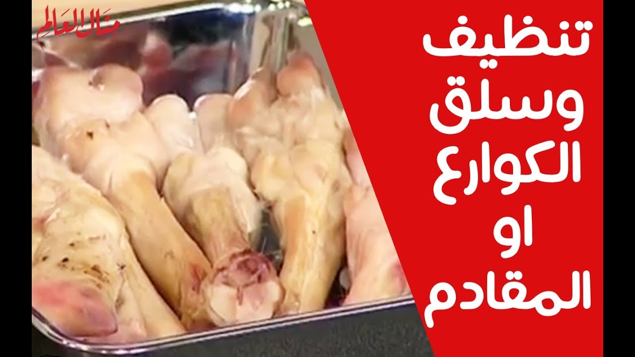 طريقة تنظيف وسلق الكوارع او المقادم