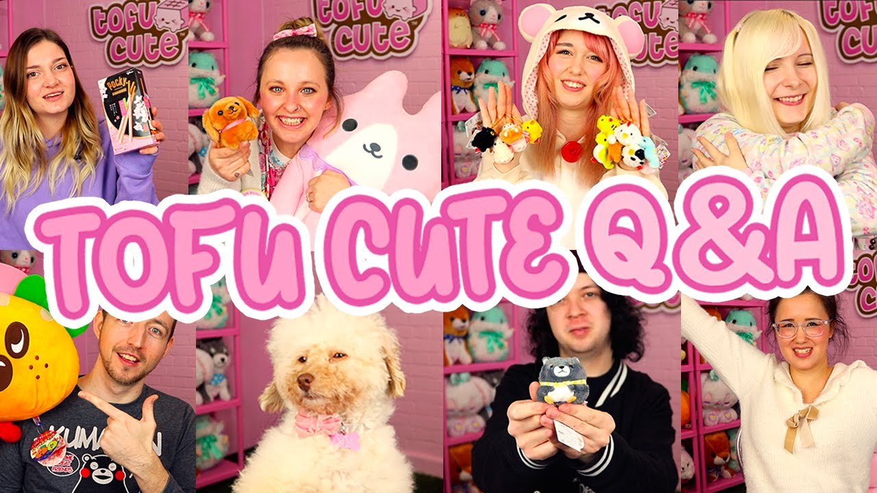 Q&A with Tofu Cute! ☆ We Answer YOUR Questions | TOFU CUTE TV