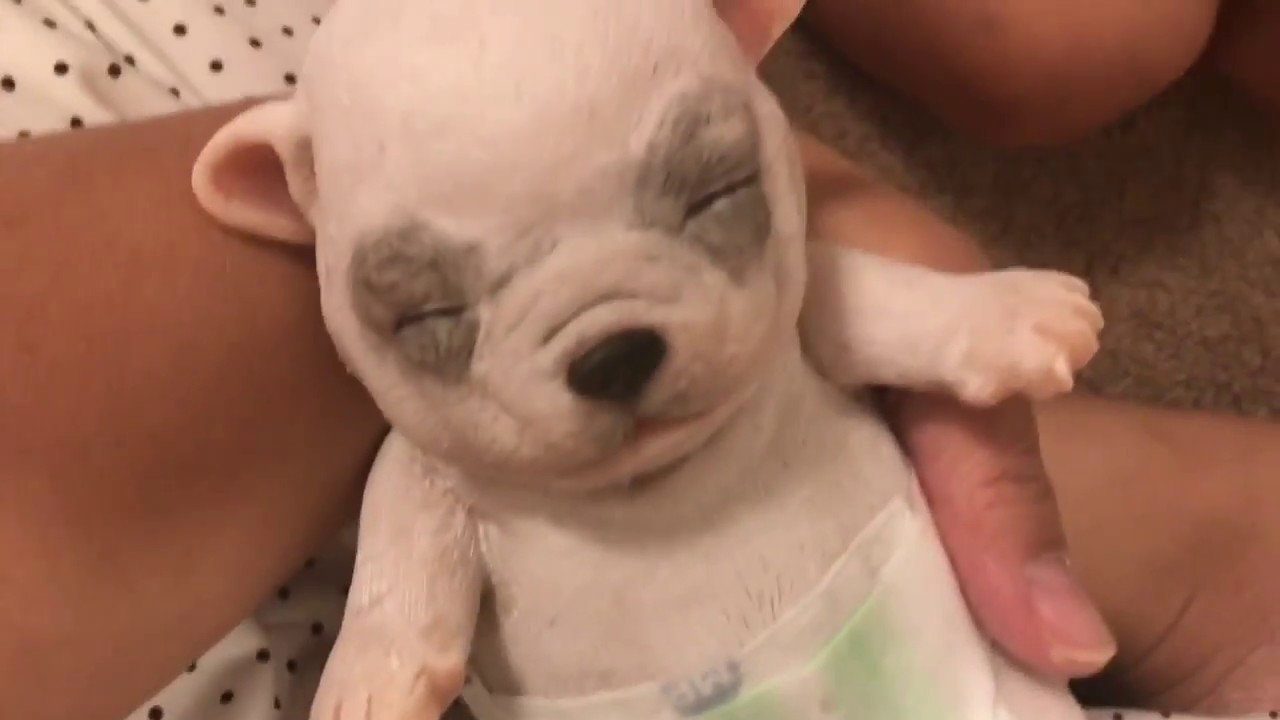 Silicone Puppy Box Opening!! Drink and Wet! Plus Mia (Silicone Baby Ella)'s Layette!
