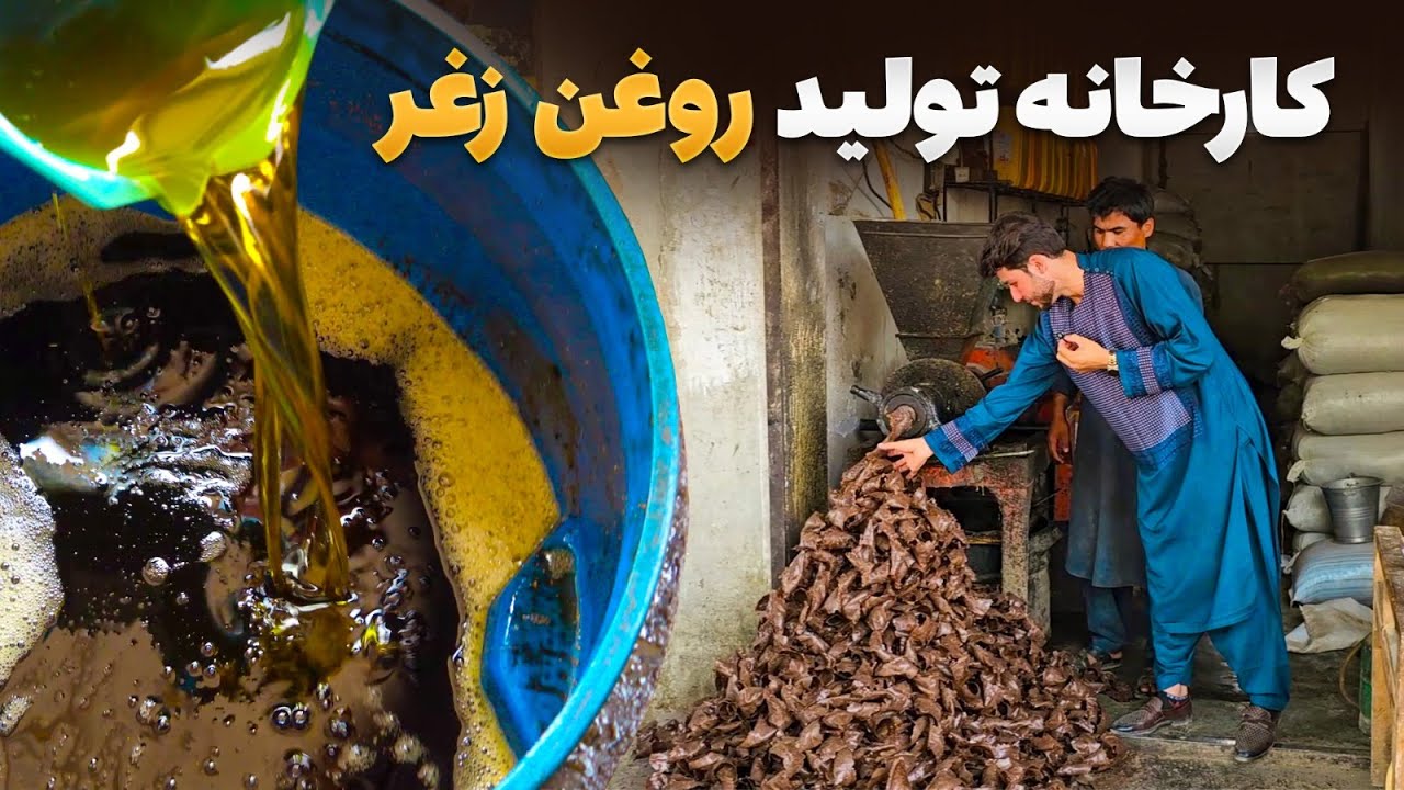 سفر با ظفر - از دانه‌های طلایی زغر تا روغن خالص و طبیعی