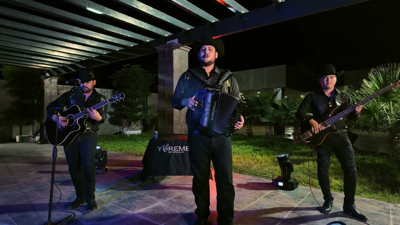 El Guachito - Yoremes De Sinaloa (En Vivo)