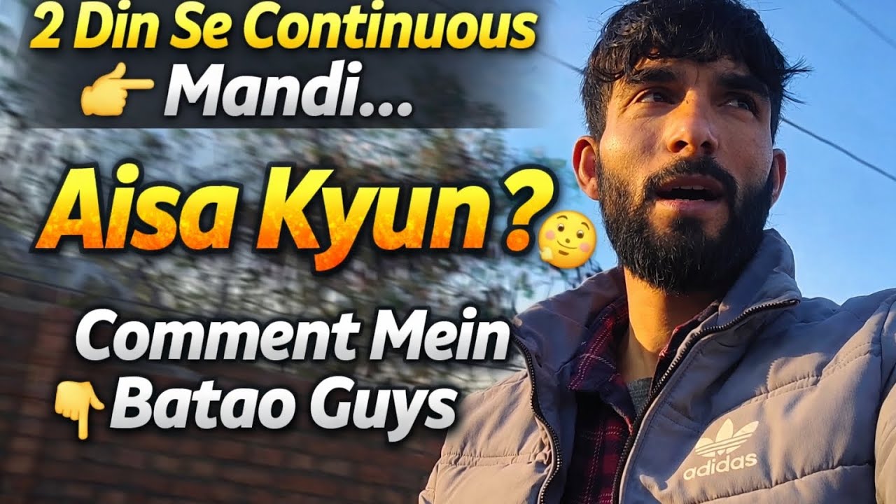 2 din se lagatar mandi ja raha hoon… 🤔Aaj bhi wahi route, wahi hustle, wahi struggle.