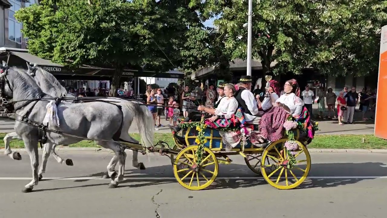 Ljeto Valpovačko🐴 2024g.