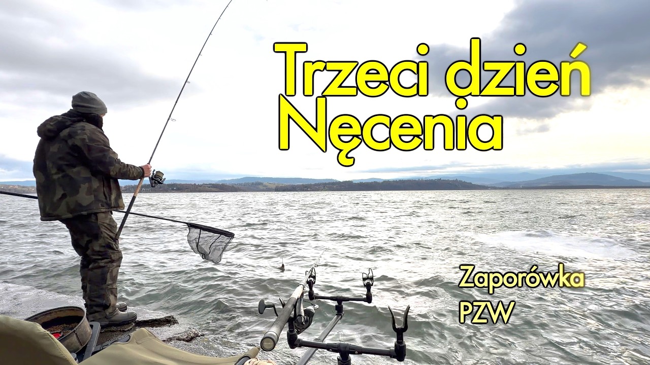 Trzeci dzień nęcenia. Duża zaporówka Pzw w grudniu.