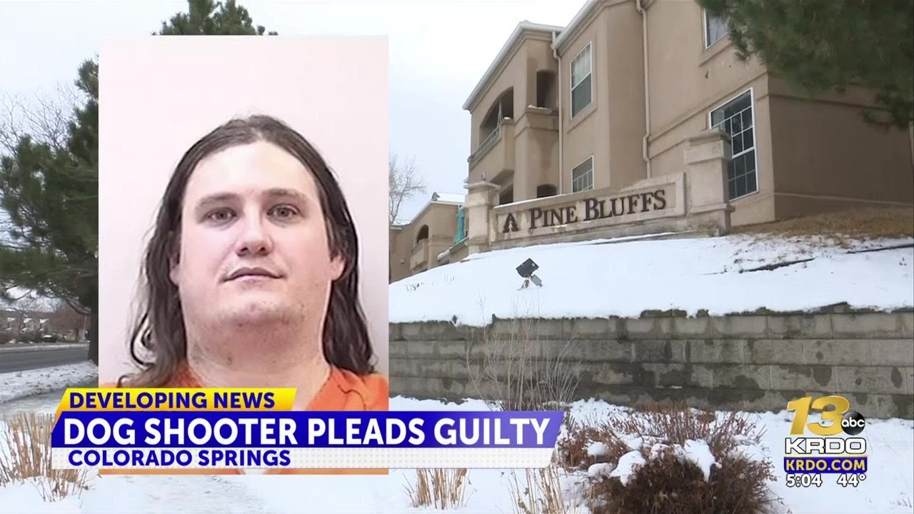 Man pleads guilty to shooting and killing neighbor's dog in Colorado Springs