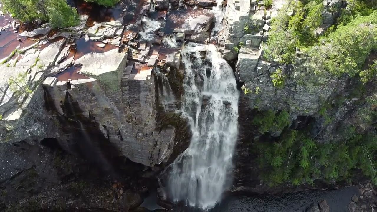Juvefossen/Juvfossen, Blåbær, Fagerfjell, Flesberg Juli 2024