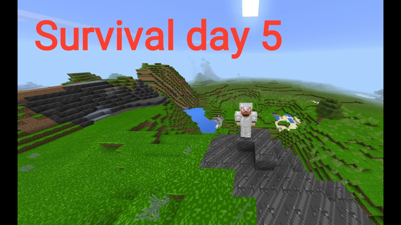 Survival day 5
