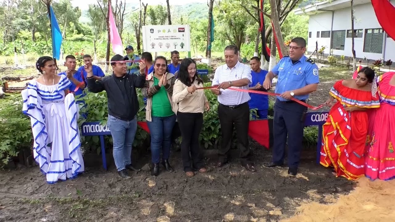 Matagalpa: presos del penitenciario de Waswalí se suman a campaña de reforestación