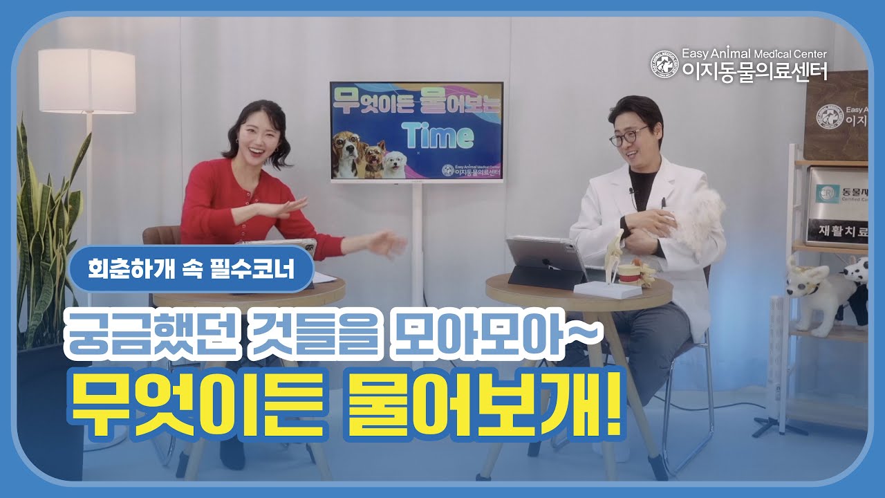회춘하개 속 필수코너 ! 궁금했던것들 모아 모아 ~ 무엇이든 물어보개~
