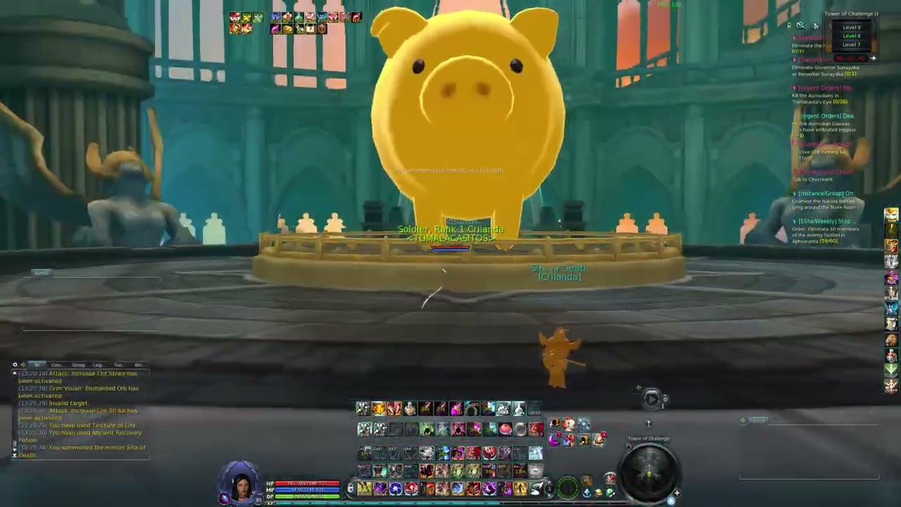 AION 8.5 SM IN  TOWER OF CHALLENGE  MIDDLE LEVEL ( Gear fs and weapon vision heanvenly )