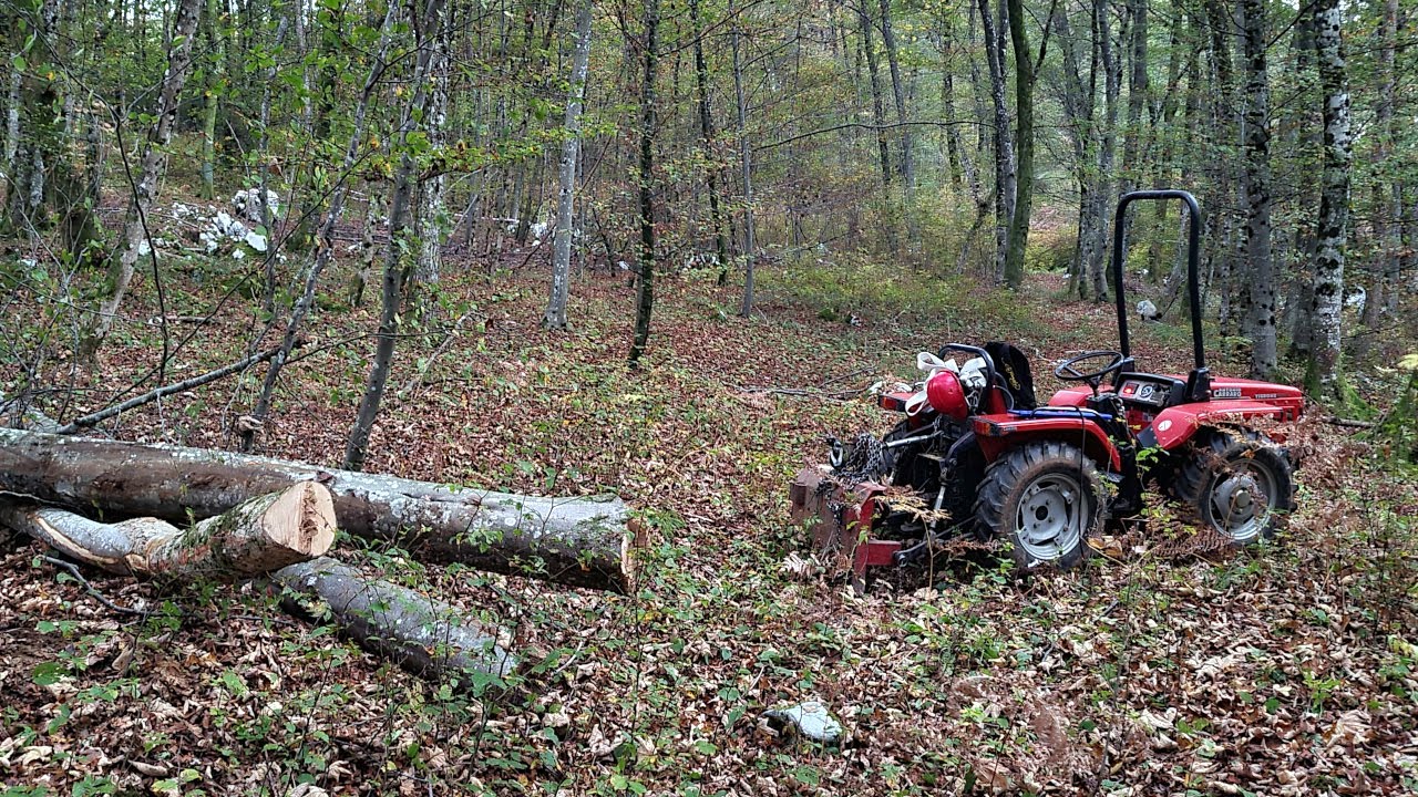 Pulling trees with small Antonio Carraro tractor and a 3T forestry winch