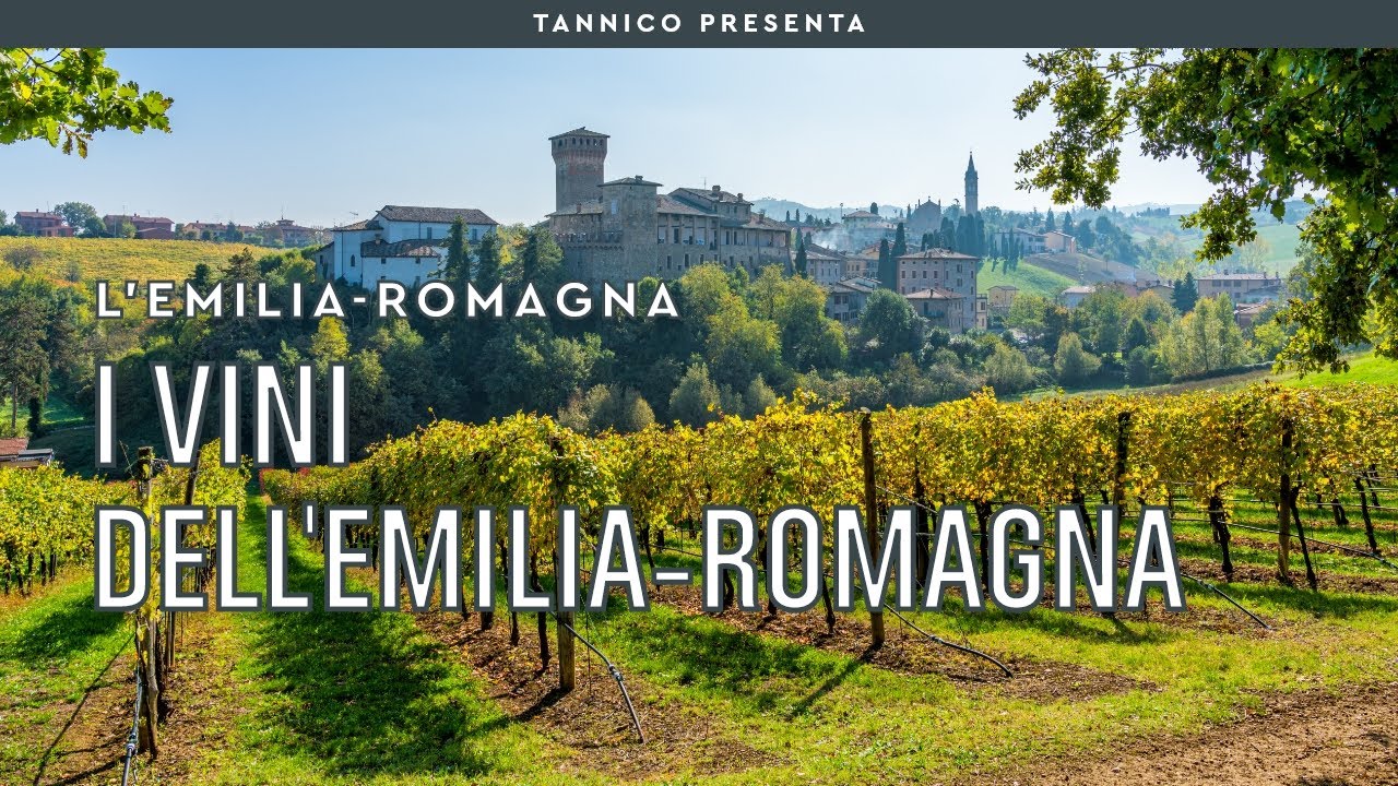 I vini dell'Emilia Romagna | Tannico Flying School