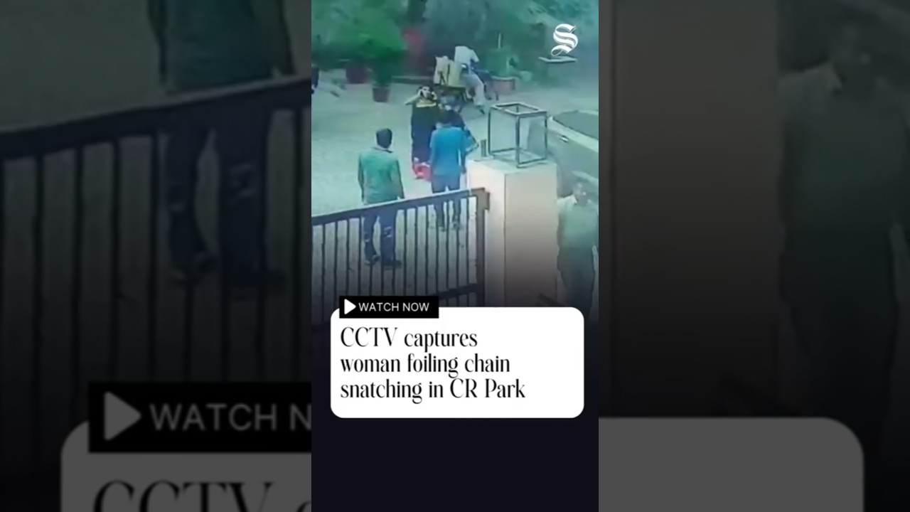 CCTV captures woman foiling chain snatching in CR Park as bystanders watch
