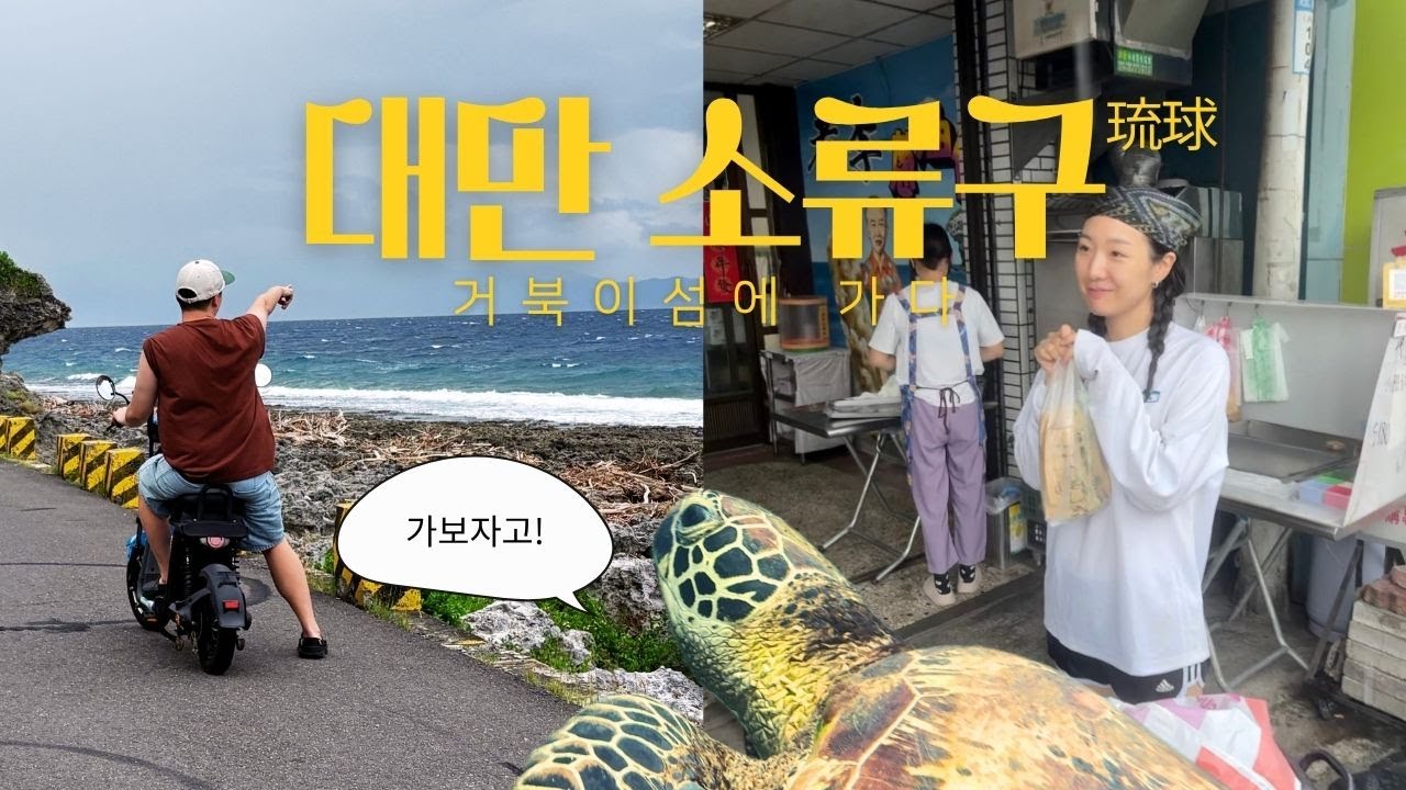 [대만] 바다거북과 함께한 소류구 스노클링 여행