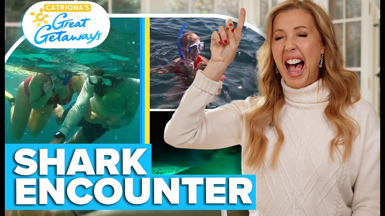 The time Catriona Rowntree lost it during filming with sharks | Channel 9