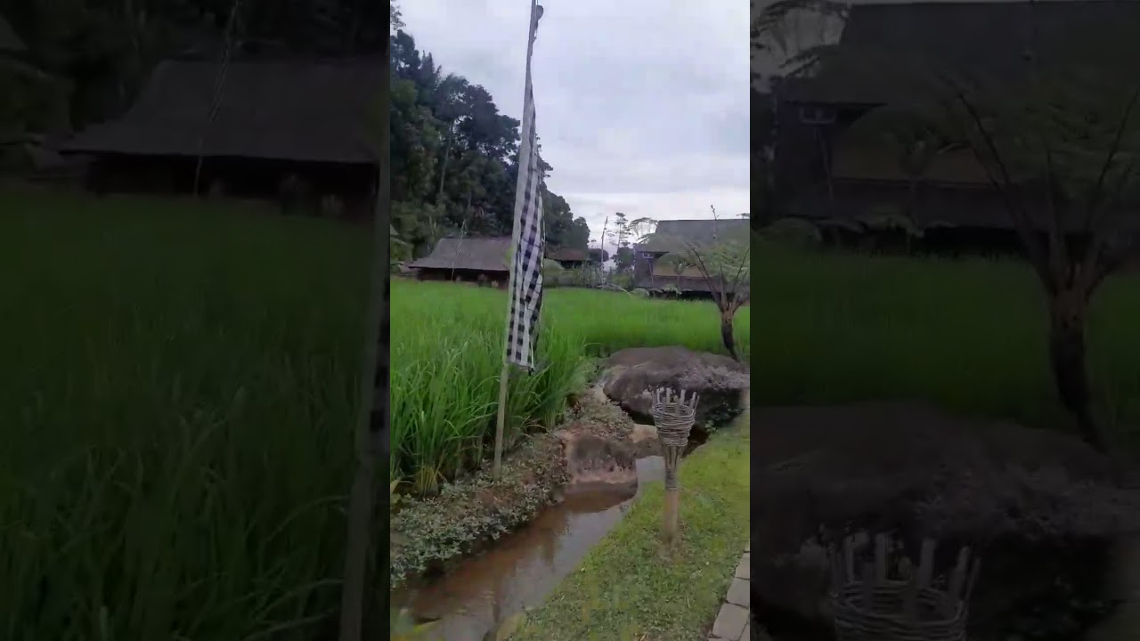 Tajur katineung kabupaten Purwakarta 