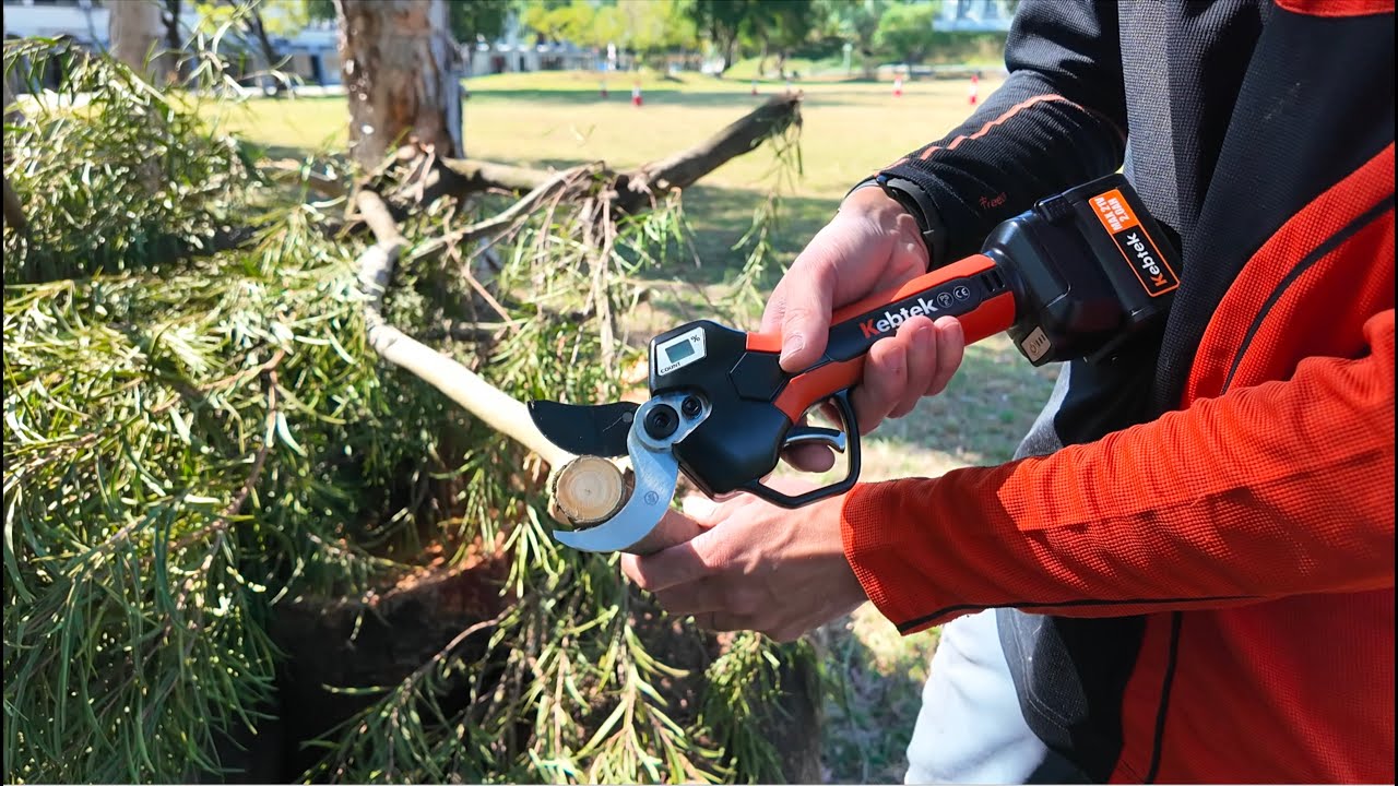 [ Gear Unbox 裝備介紹 ] kebtek Electric Pruner Review 電剪廣東話評測