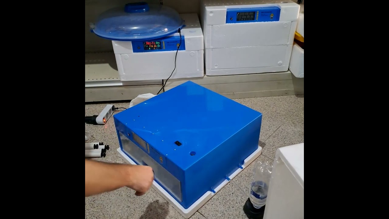 Inkubator full automatik GENTI SHOP