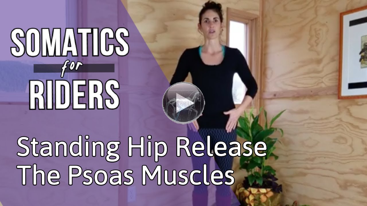 Somatics for Riders | Tight Hips? The Psoas Muscles | Somatics with Alissa Mayer