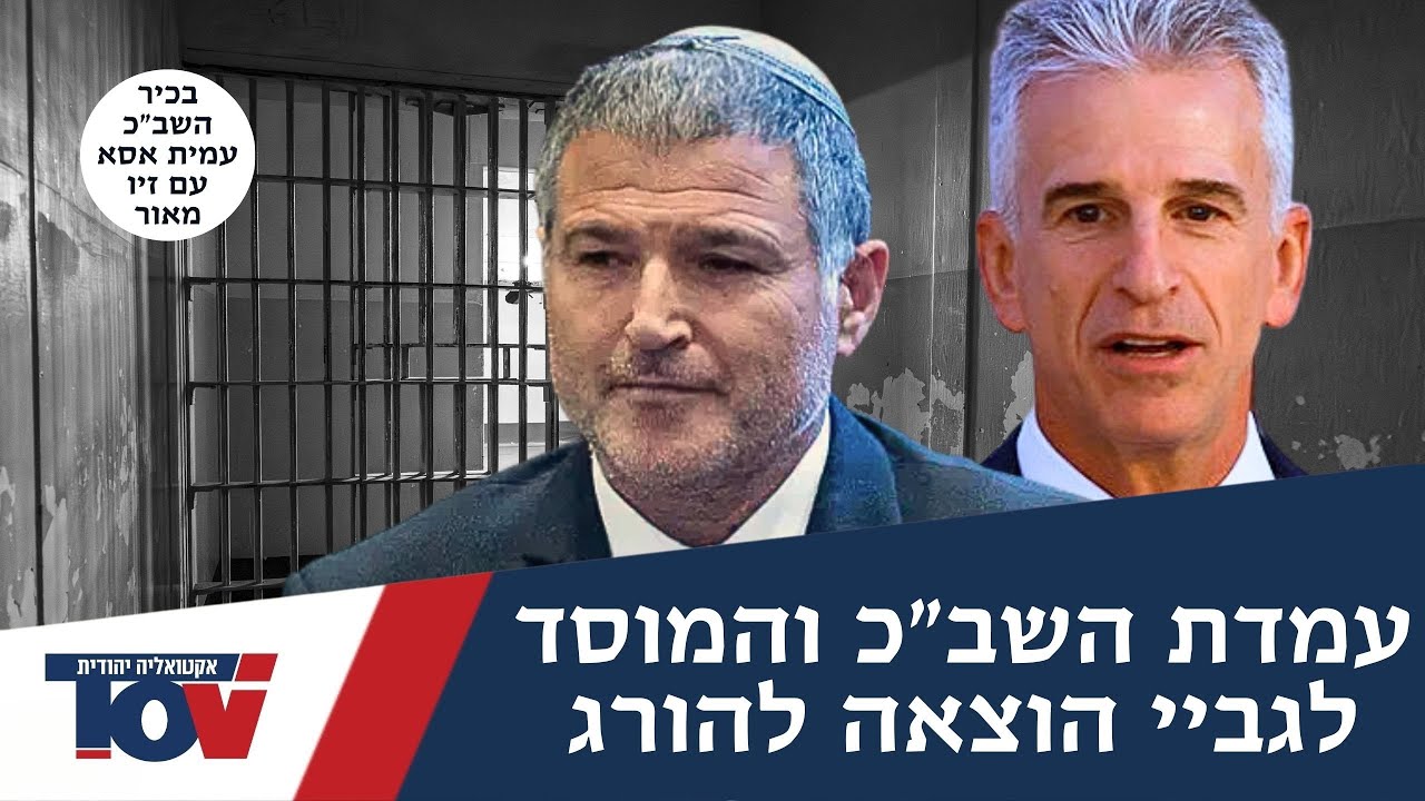 עמית אסא: 
