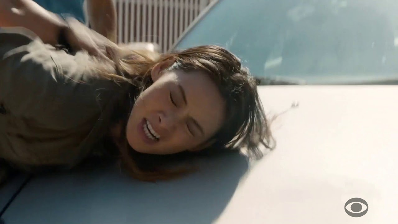 Diana Lu  // NCIS:LA #1004