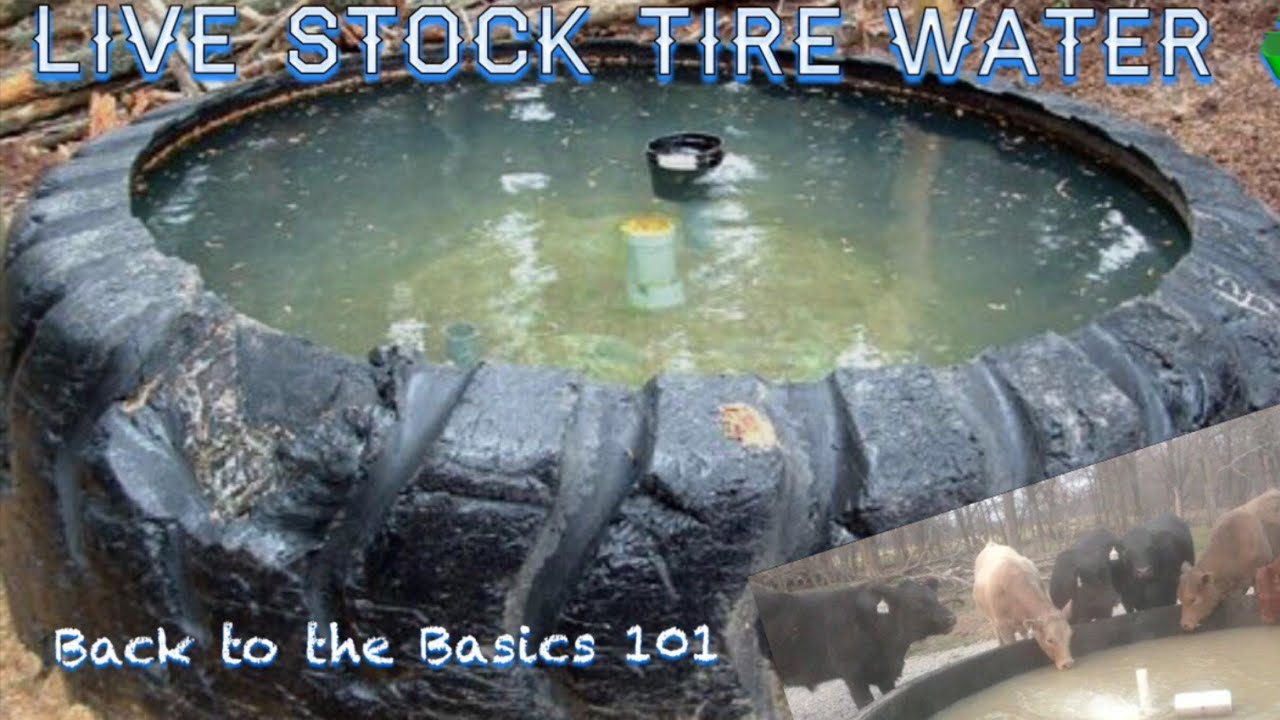 Tire livestock indestructible waterer
