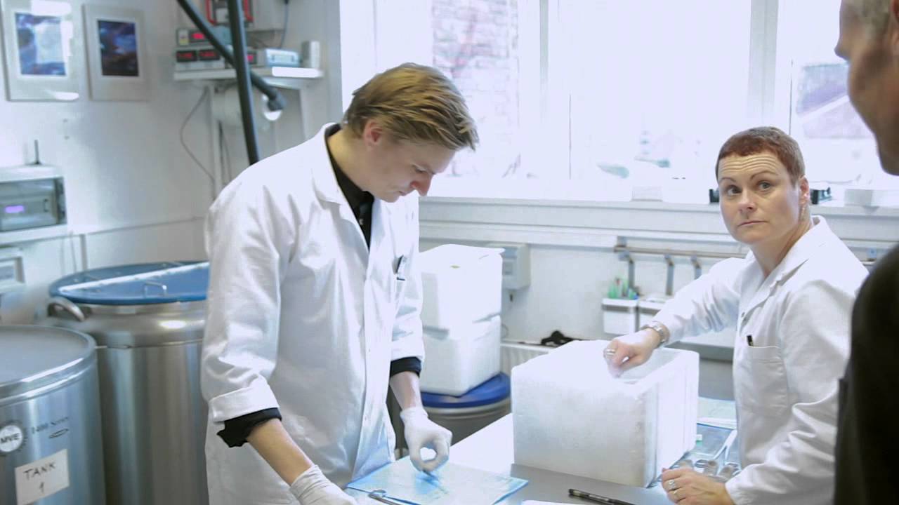 Cryos International Sperm Bank