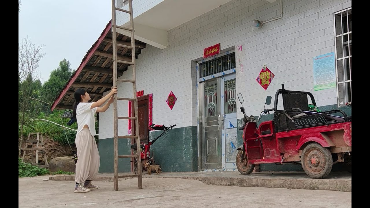 这是一件真实发生的事情，所以没有配音，我准备翻墙进自己家