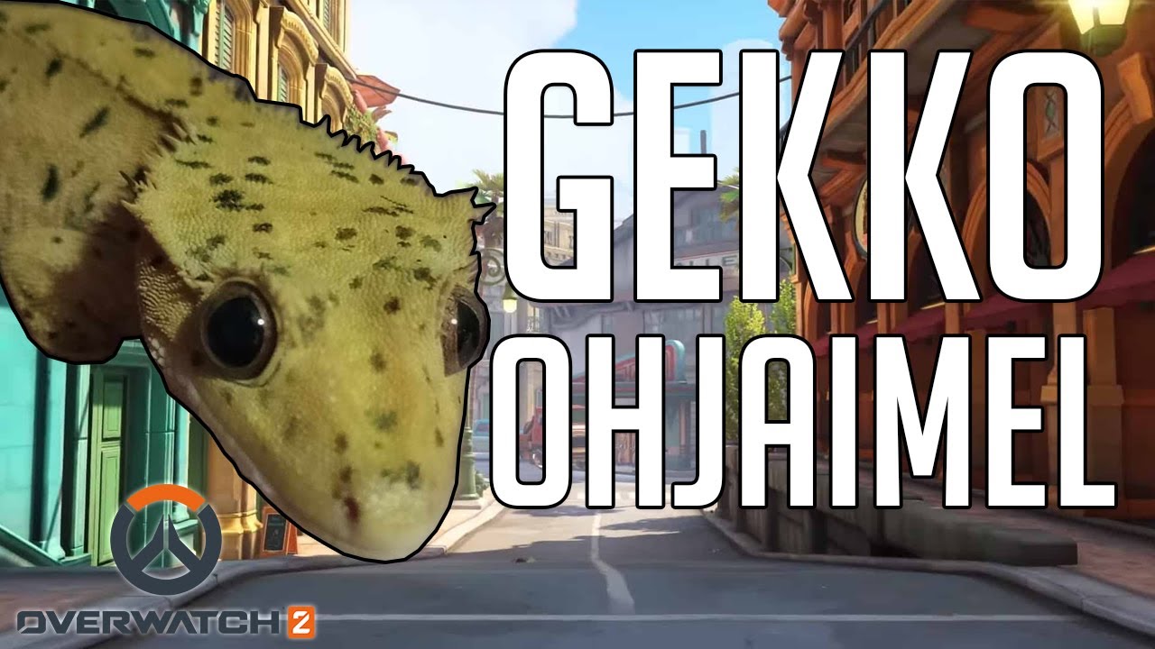 GEKKO OHJAIMELLA! | OW2 Hauskat Hetket