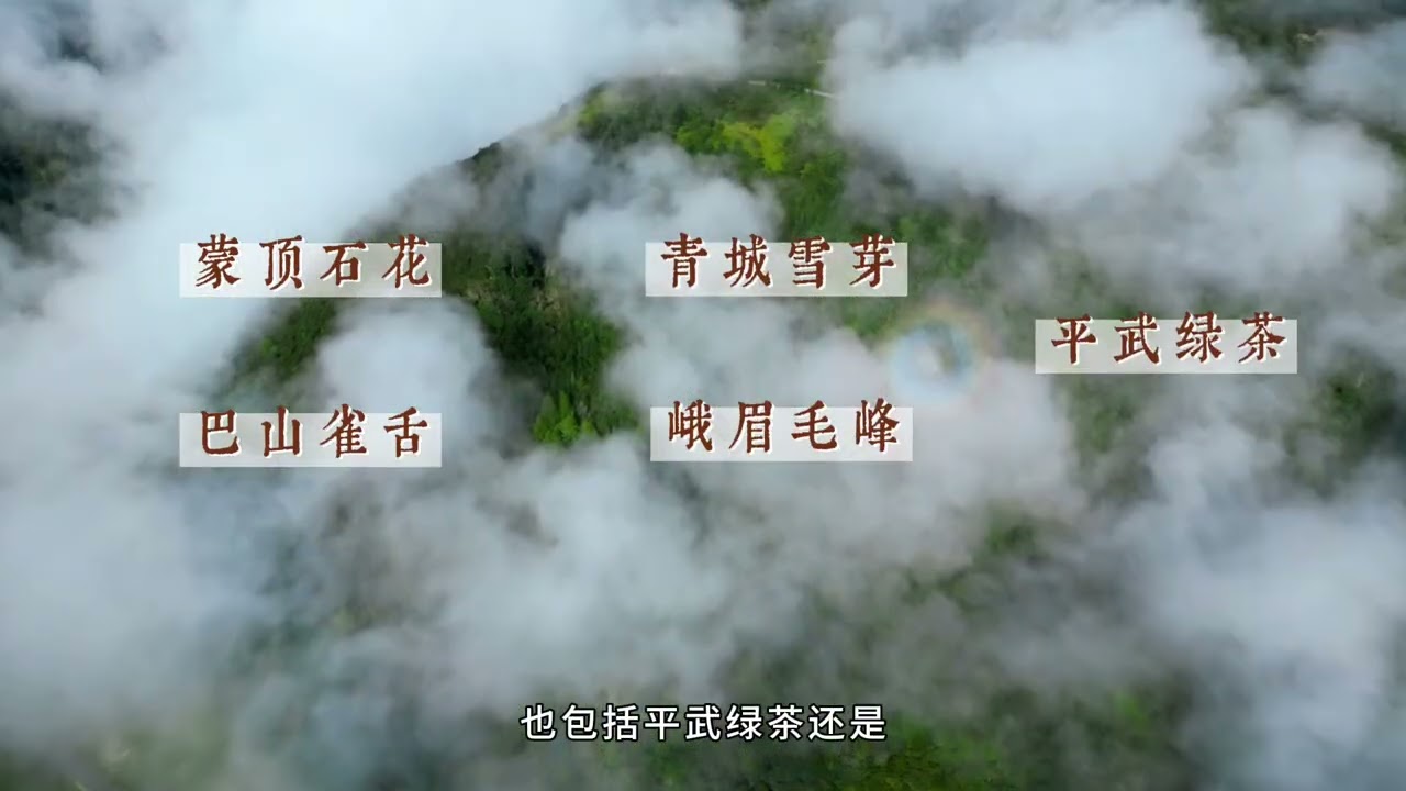 盘点究竟有多少种绿茶