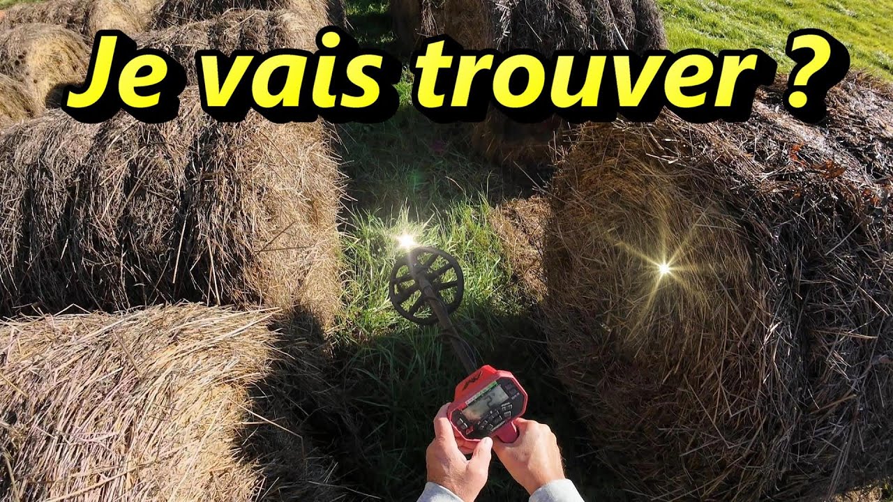 Détection de métaux : Quand la détection devient utile : pièce agricole perdue 😀