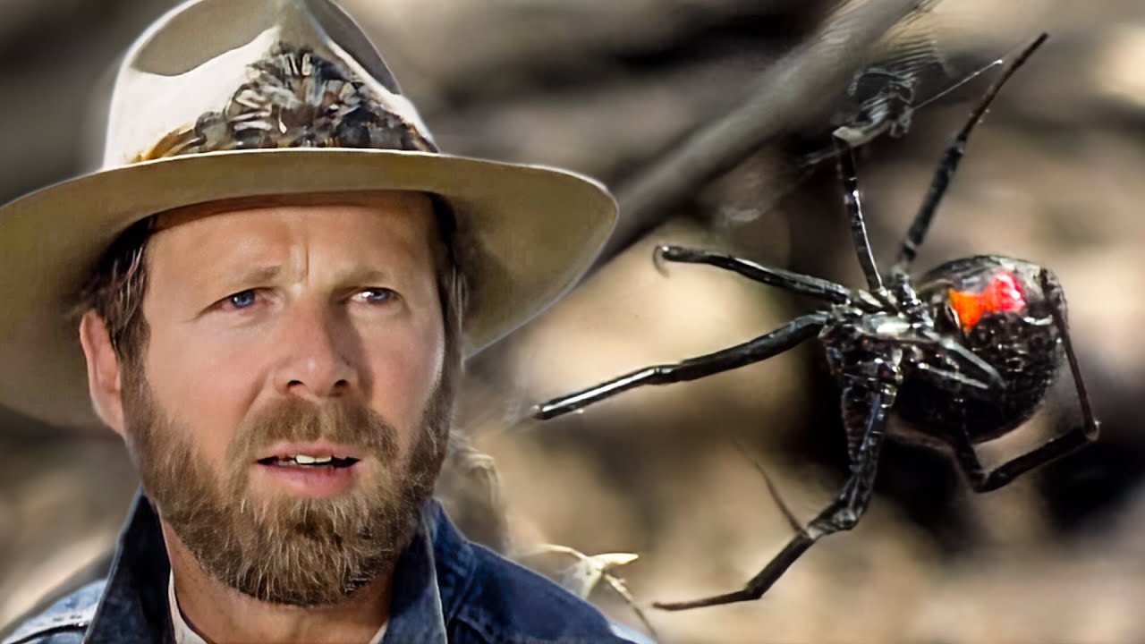 Wild America Specials | Dangerous Encounters | HD