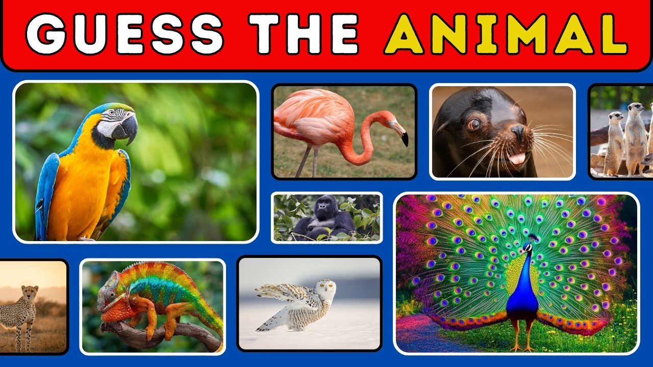 Guess the Animal in 5 Seconds 🐾 Fun Wildlife Quiz Challenge