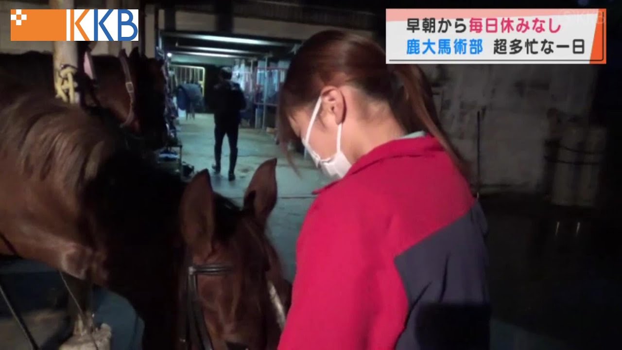 【早朝から毎日休みなし!】鹿大馬術部 超多忙な一日～馬とともに更なる飛躍を誓う～ ”Jチャン＋”特集(1月5日(水)放送)