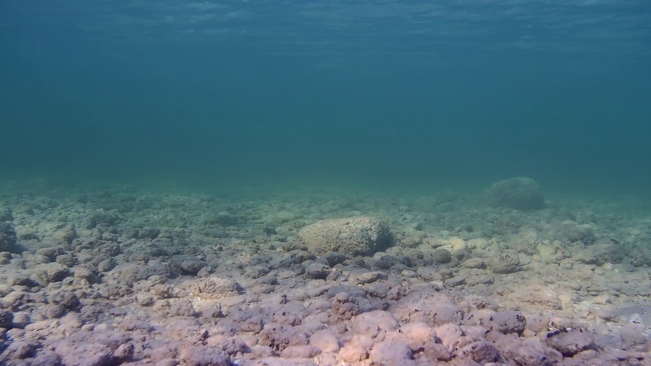 Underwater Drone 4K Video - Torch Lake @ Clam River, January 2021