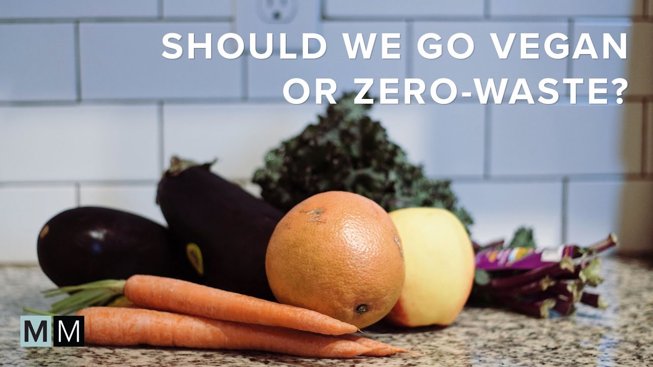 LET'S TALK ABOUT VEGANISM AND ZERO-WASTE | minimal millennials