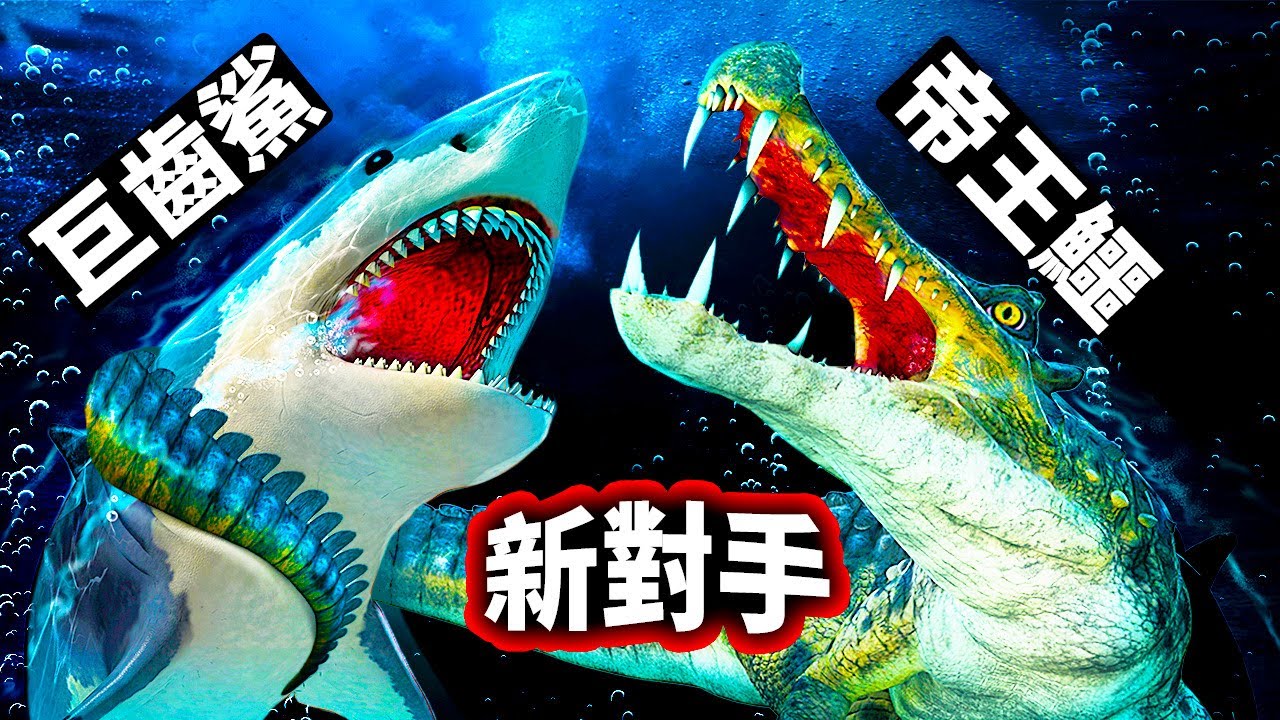 巨齒鯊vs巨型鱷魚：誰能贏得勝利？